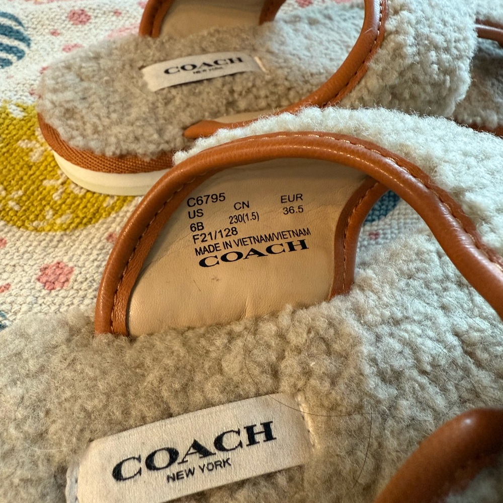 Coach - Picture 2 of 5